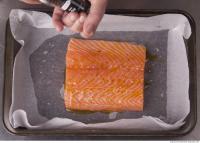 photo texture of salmon 0001